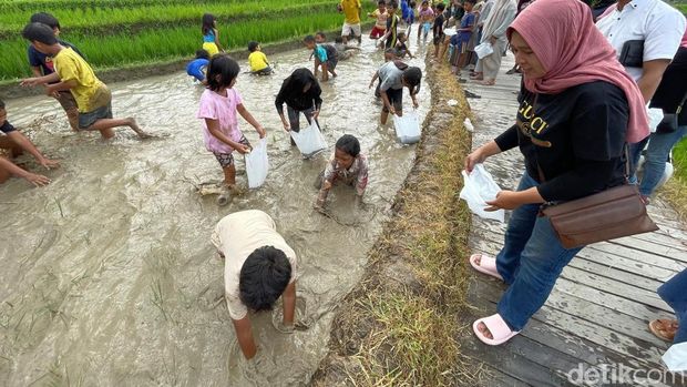 Anak-anak saat mengikuti Festival Gogoh Iwak di Dadap Sumilir, Girimulyo, Kulon Progo, Sabtu (28/6/2025).