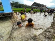 Serunya Festival Gogoh Iwak di Kulon Progo, 600 Ikan Lele Jadi Buruan Anak-anak