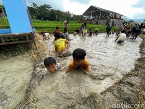 Serunya Festival Gogoh Iwak di Kulon Progo, 600 Ikan Lele Jadi Buruan Anak-anak