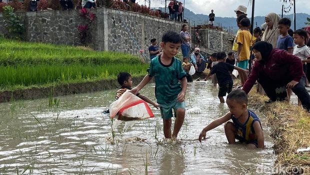 Anak-anak saat mengikuti Festival Gogoh Iwak di Dadap Sumilir, Girimulyo, Kulon Progo, Sabtu (28/6/2025).