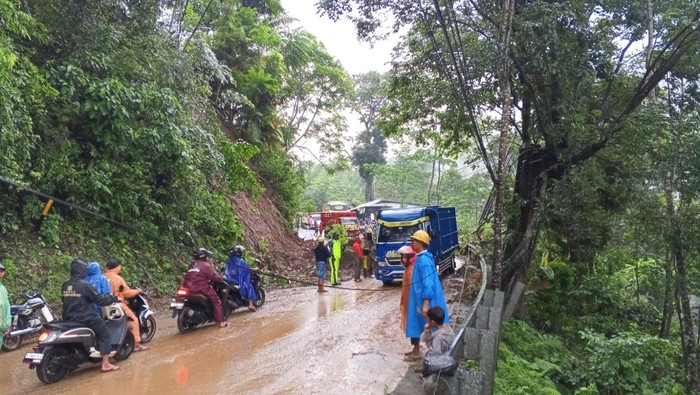 Longsor tutup akses jalan Malang-Lumajang