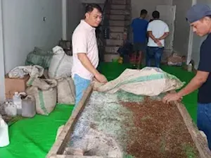 Polisi Bongkar Pabrik Rokok Ilegal di Lilirilau Soppeng
