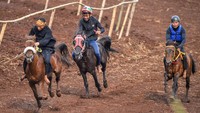 Festival Kuda Tradisional Cibogo kembali digelar, menghadirkan aksi-aksi seru dari joki yang memacu kudanya di lintasan balap, hingga penampilan seni kuda renggong yang memukau penonton. Acara ini diikuti 15 kandang kuda dari berbagai daerah di Jawa Barat, membuat arena festival penuh dengan sorak-sorai penonton yang antusias menyaksikan kecepatan dan kelincahan kuda tradisional. ANTARA FOTO/Raisan Al Farisi