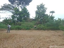 Jejak Benteng Era Perang Diponegoro di Klaten, Warga Pun Tak Berani Usik