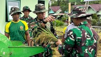 Lucky mengungkap dulu padi yang ditanam hanya dapat dua kali dipanen. Namun sekarang, padi di ladang yang TNI ‘sulap’ jadi lahan pertanian ini, dapat dipanen sebanyak empat kali. Ia pun merencanakan perluasan lahan pertanian dengan memanfaatkan lahan-lahan tidur di Papua. Foto: Dok. Koops Habema