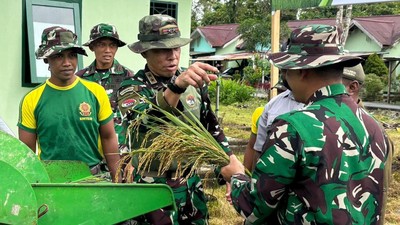 Dukung Swasembada Pangan, TNI Sulap Lahan Tidur di Papua Menjadi Sawah