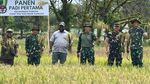 Dukung Swasembada Pangan, TNI Sulap Lahan Tidur di Papua Menjadi Sawah
