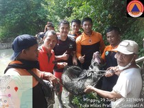 Buaya Muara Masuk Tambah Hebohkan Warga Rungkut Surabaya