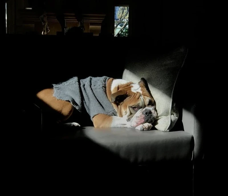 Foto random artistik