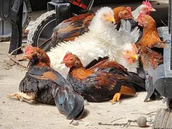 Foto Random yang Lumayan Artistik dan Layak Dipajang di Galeri Seni