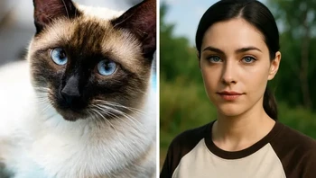 Kucing Siam. Foto: David Disponett/Pexels/BrightSide