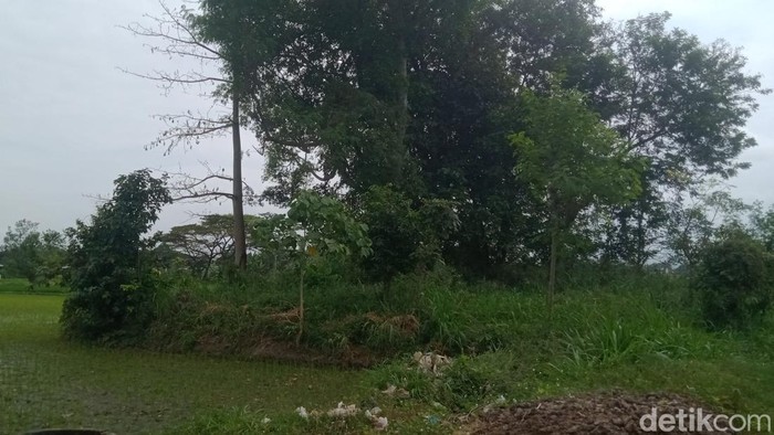 Dulu Punya Banyak Arca, tapi Sekarang Gumuk Asu Tinggal Semak Belukar