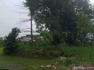 Gumuk Asu di Klaten, Dulu Banyak Arcanya Tapi Kini Tinggal Belukar