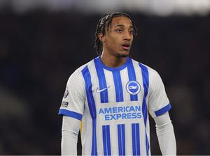 Chelsea si Mitra Bisnis Setia Brighton