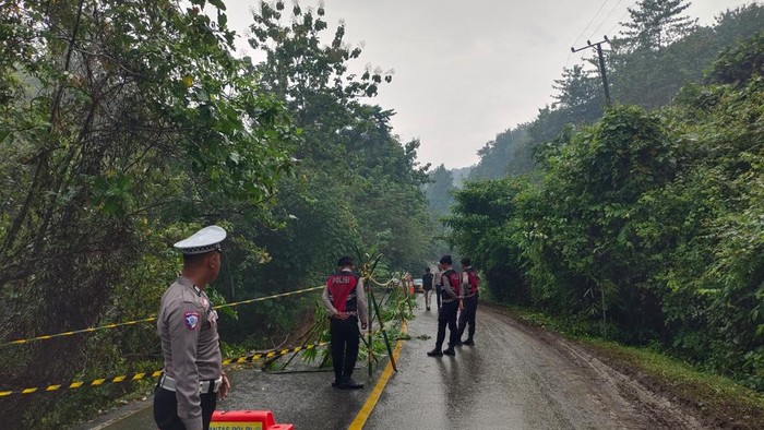 Ruas jalan Kolono-Moramo longsor akibat curah hujan tinggi.