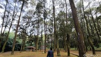 Bagi yang ingin berwisata dengan suasana pegunungan yang murah meriah dengan lokasi yang strategis. Bisa mencoba untuk berwisata ke 1001 Tangga Manguntapa Kuningan yang berlokasi di Desa Singkup, Kecamatan Pasawahan, Kabupaten Kuningan.