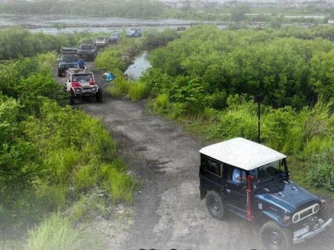 Deretan Jeep saat Melintasi Jalur Wisata Off-Road di Kawasan Hutan Cemara Pakal Kota Surabaya