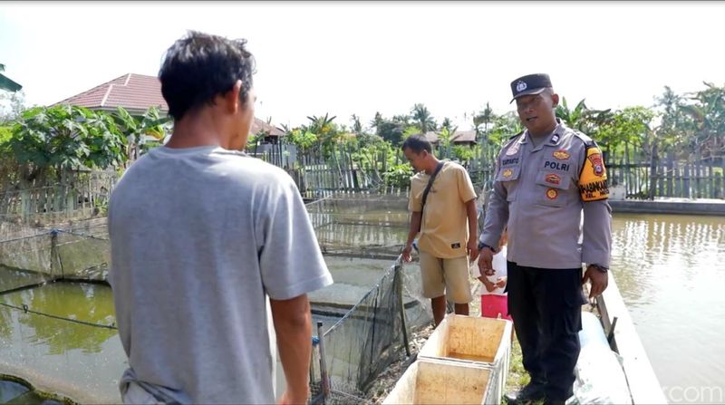 Aiptu Karyanto mengubah lahan rawa jadi tambak ikan