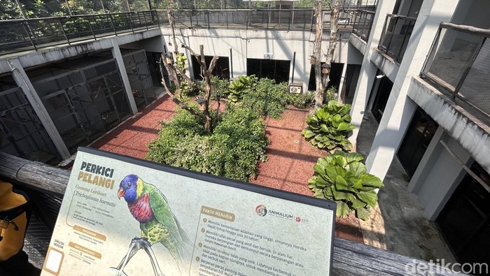 Liburan makin seru dan bermakna di Animalium Bogor. Anak-anak bisa belajar ilmu hewan sambil eksplorasi alam dalam konsep eduwisata modern.