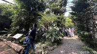 Libur sekolah jadi ajang untuk family time bareng keluarga. Buat yang dekat-dekat di Bogor, ada tempat liburan asyik sambil anak bisa belajar ilmu pengetahuan tentang hewan-hewan.