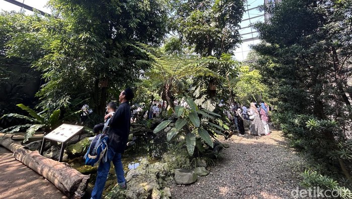 Animalium, Wisata Edukatif Seru di Bogor untuk Libur Sekolah Liburan makin seru dan bermakna di Animalium Bogor. Anak-anak bisa belajar ilmu hewan sambil eksplorasi alam dalam konsep eduwisata modern.