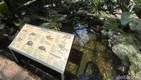 Animalium dikelola oleh Badan Riset dan Inovasi Nasional (BRIN) sebagai pusat eduwisata dan konservasi satwa. Animalium berada di Kawasan Sains & Teknologi Soekarno (KST Soekarno),Jl. Raya Jakarta-Bogor KM46, Sentul, Cibinong, Kabupaten Bogor, JawaBarat16911.  