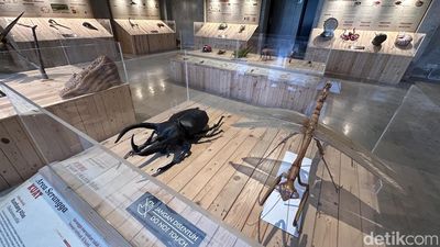 Animalium, Wisata Edukatif Seru di Bogor untuk Libur Sekolah
