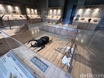 Animalium, Wisata Edukatif Seru di Bogor untuk Libur Sekolah