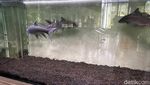 Animalium, Wisata Edukatif Seru di Bogor untuk Libur Sekolah