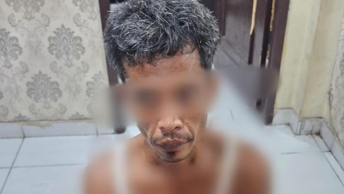 Bandar narkoba di perkebunan sawit di Kabupaten Siak, Riau ditangkap polisi pada Kamis (26/6/2025).