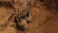 Para arkeolog menemukan buah ceri berusia 250 tahun di situs bersejarah di George Washington di Virginia, Amerika. Ceri tersebut disimpan dalam botol kaca. Foto: Live Science