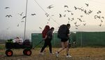 Festival Glastonbury 2025 di Inggris Tinggalkan Banyak Sampah