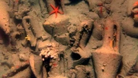 Saus salad ditemukan dalam sebuah kapal karam di Laut Aegea pada 2004. Saus dalam stoples berusia 350 SM itu dibuat dari campuran minyak zaitun dan oregano. Foto: Site News/Pool