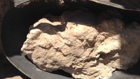 Di dalam tanah di Provinsi Eskisehir, Turki, pernah ditemukan roti kuno terkubur berusia 5000 tahun. Roti itu diyakini berasal dari Zaman Perunggu dan dipanggang pada masa 3.300 SM. Foto: Site News/Pool