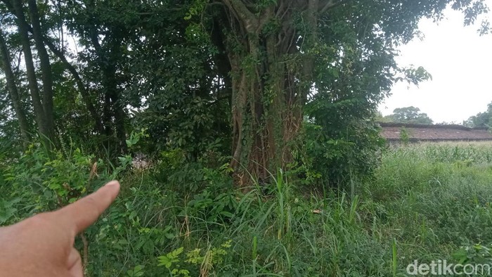 Gumuk Asu di Desa Rejoso, Kecamatan Jogonalan, Klaten.