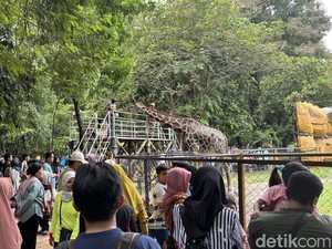 Cuaca Wisata Jatim 13 September 2025, Cerah Berawan