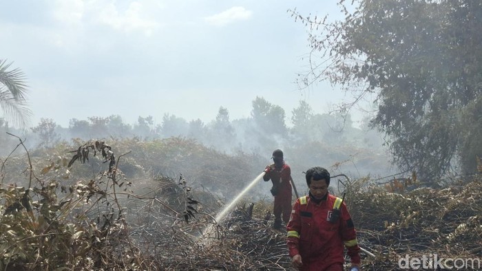 Petugas menyemprotkan air ke lahan gambut yang terbakar di Kampar, Riau. (Raja Adil Siregar/detikSumut)