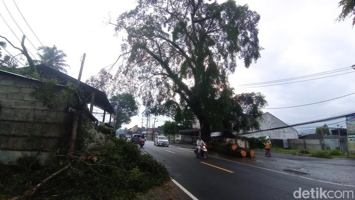 Pohon beringin tumbang di Tasikmalaya menimpa mobil yang ditumpangi anggota Brimob. Personel polisi itu meninggal di lokasi.