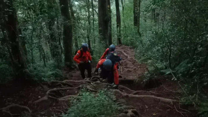 Proses pencarian empat pendaki tersesat di Gunung Batukaru. Seluruh korban ditemukan selamat pada Senin (30/6/2025).  (Instagram @kantorsar_denpasar)