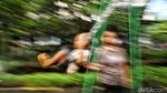Riuh Tawa Anak-anak Hiasi Gang Sempit Sunter Agung