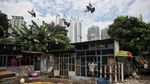 Riuh Tawa Anak-anak Hiasi Gang Sempit Sunter Agung