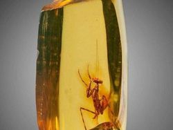 Temuan Arkeolog Ini Bikin Melotot, Jejak Peradaban Kuno Terkuak!