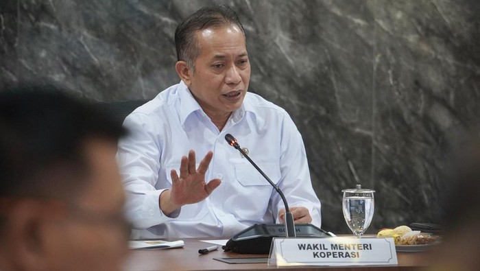 Wakil Menteri Koperasi (Wamenkop) Ferry Juliantono. (Dok. ist)