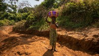 The Gambia mengalami panas sepanjang tahun dengan suhu rata-rata di atas 30 °C. Puncak panas terjadi Maret–Mei, dengan suhu pedalaman melebihi 40 °C. Musim hujan singkat Juni–September disertai kelembapan tinggi hingga 80%, terutama di Banjul dan Serrekunda. Dengan luas kecil dan bentang sempit, seluruh negara merasakan dampak panas ekstrem terhadap pertanian, satwa, dan kehidupan sehari-hari. Getty Images/Manuel Medir