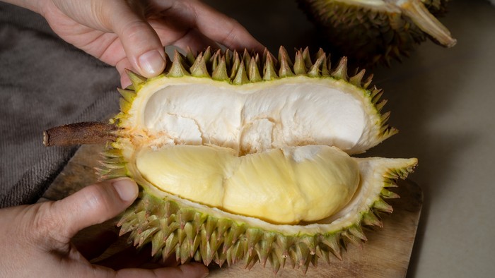 Durian Hands peeling a Monthong durian seasonal fruit in Thailnad