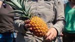 Deretan 10 Buah Termahal di Dunia, Ada Melon Seharga Mobil!