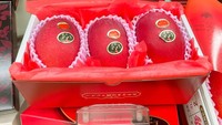 Mangga Taiyo no Tamago yang jika diterjemahkan menjadi telur matahari ini berasal dari prefektur Miyagi, Jepang. Mangga ini disebut telur, karena warna daging buahnya yang kuning keemasan. Pada 2022, sepasang mangga pernah terjual 600.000 Yen (Rp 67,9 juta). Foto: Japanese Food Guide