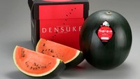 Semangka Densuke juga terkenal dengan kualitas premium dan harganya yang mahal. Semangka berkulit hitam pekat ini hanya dapat ditemui di Hokkaido. Pada 2019, semangka Densuke pernah terjual seharga 750.000 yen atau sekitar Rp 84,9 juta. Foto: Luxvanzine