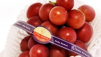 Anggur Ruby Roman dari Jepang berwarna merah ruby yang cantik dan bentuknya bulat sempurna. Pada 2020, Anggur Ruby Roman berhasil terjual dalam sebuah lelang dengan harga 1,3 juta yen (Rp 170 juta) untuk 1 tangkai anggur. Foto: ACIT Group