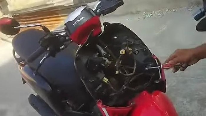 Proses evakuasi ular kobra Jawa yang muncul dari setang motor warga Cawas, Klaten, Senin (30/6/2025).